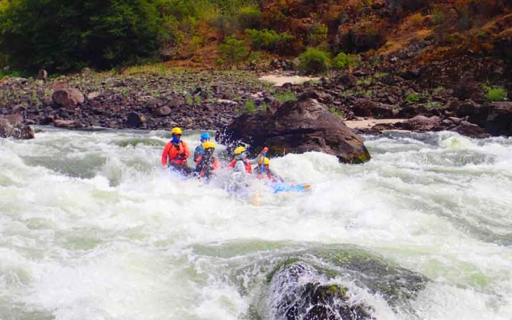 a group of adult students use paddles to navigate whitewater on an outward bound course